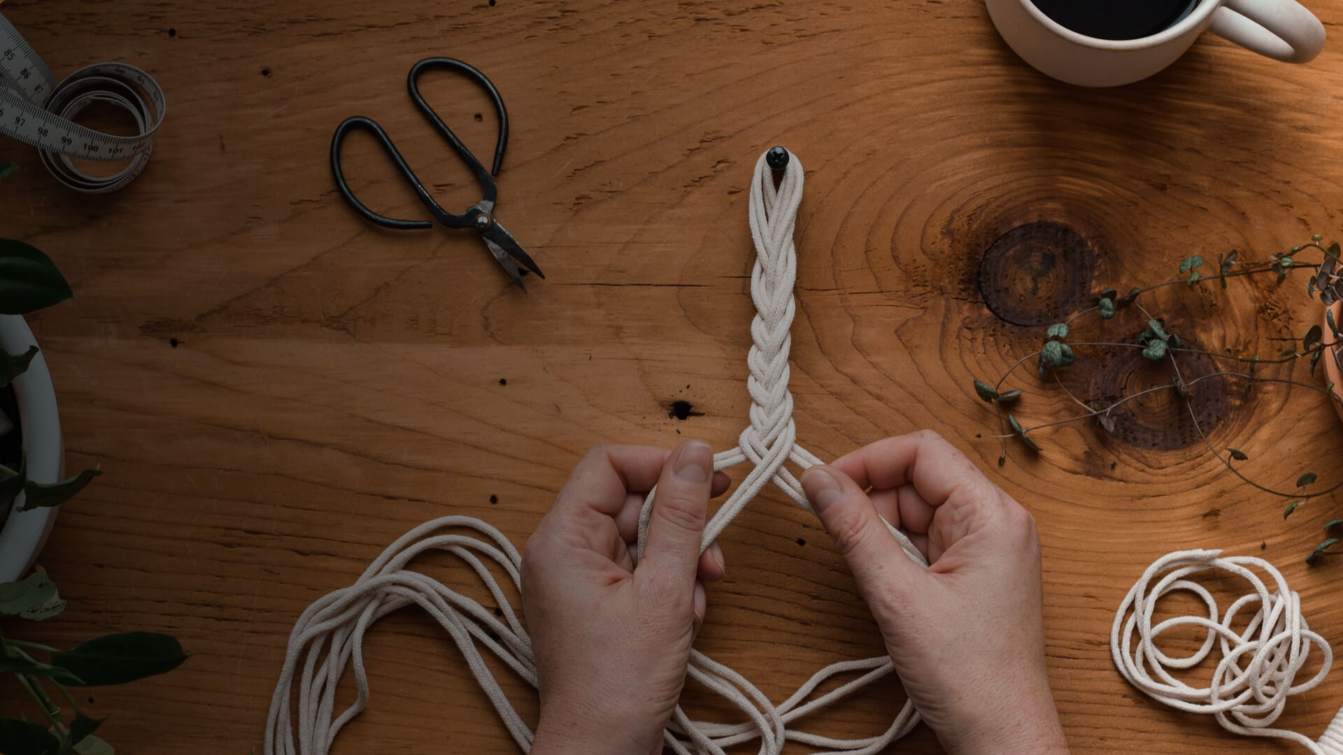 Decorative Rope – Hercules Bulk Ropes